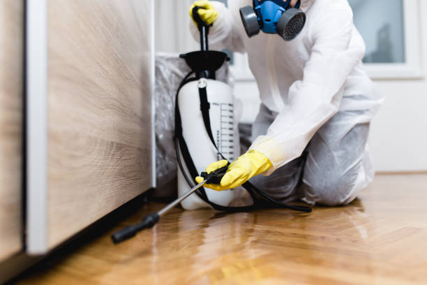 Best Residential Pest Control  in Satellite Beach, FL