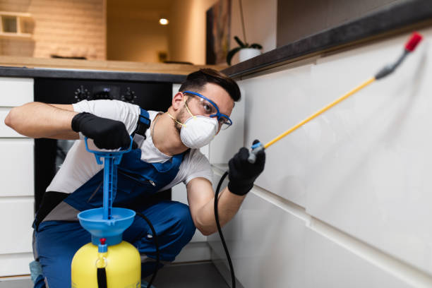 Best Emergency Pest Control  in Satellite Beach, FL