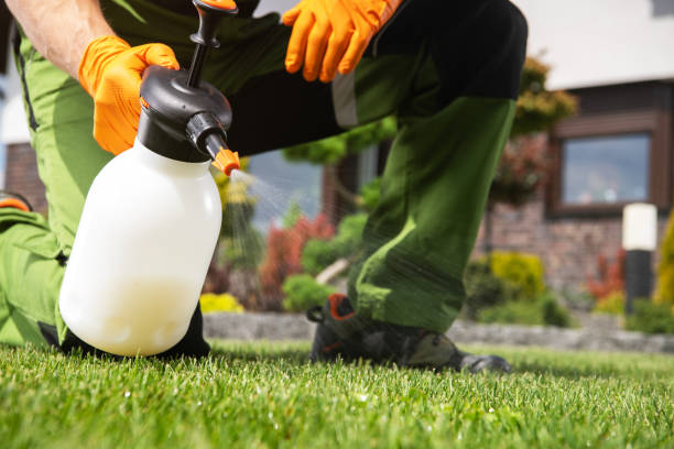 Best Affordable Pest Control Services  in Satellite Beach, FL