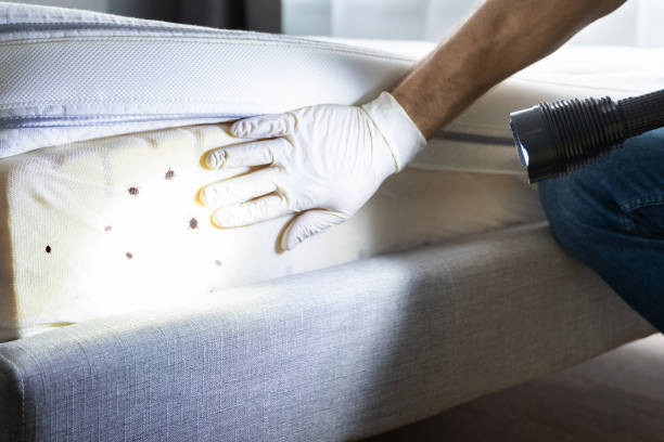 Best Commercial Pest Control Services  in Satellite Beach, FL