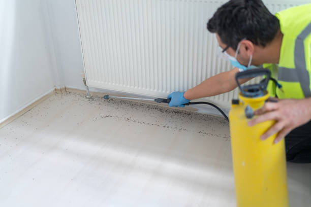 Best Rat Extermination Near Me  in Satellite Beach, FL